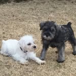 Dennis Cavin - @cavindennis - Instagram