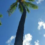Dennis Chacon - @dennis.chacon - Instagram