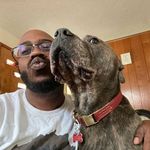 Dennis Chalmers - @djtrench84 - Instagram