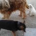 Denis Chapin - Facebook