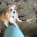 Dennis Chappell - Facebook