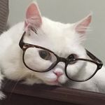 Cherry And Dennis🐾 - @cherryanddennis - Instagram