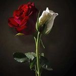 Dennis Cherry - @l0v339 - Instagram