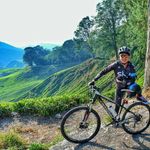 Dennis Chew - @dennis.chew.7 - Instagram
