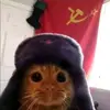 хз кто - @dennissovvchchinn - TikTok
