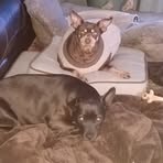 Dennis Climer - Facebook