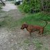 Dennis Cocherell - Facebook