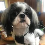 Dennis Coker - @sharon.coker.54 - Instagram