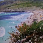 Dennis Compton - @fallhual - Instagram