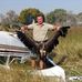 Dennis Conniff - Facebook