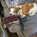 Dennis Constable - Facebook