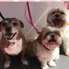Nan on TikTok - @dennyconstable - TikTok