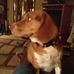 Dennis Cottrell - Facebook