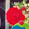 Dennison Cottrell - @dennison.cottrell - TikTok