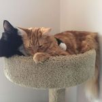 Dennis Coyle - @rookieoliver - Instagram
