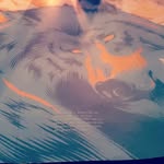 dennis shaforostov crew - @angeldandois - Instagram