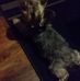 Dennis Cropper - Facebook