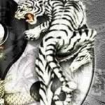 Dennis Cuddy - @denniscuddy - Instagram