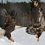 Dennis Culler - Facebook