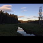 Dennis Curry - @dennis.curry3 - Instagram