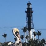 Dennis Curry - @photoden37 - Instagram