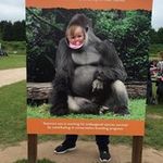 Dennis Daly - @daly.dennis - Instagram