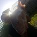 Dennis Daly - Facebook