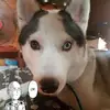 Dennis Dane Venegas - @dennisdane24 - TikTok