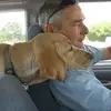 dennisdanechaney - @dennisdanechaney - TikTok