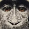 Dennis_danger - @dennis_danger - TikTok