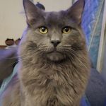 Dennis DeBolt - @debolt.dennis - Instagram