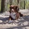 dennisdevoogd55 - @dennisdevoogd55 - TikTok