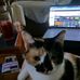 Dennis Dinsmore - Facebook