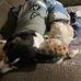 Dennis Doerr - Facebook