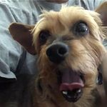Dennis Dohm - @dennis.dohm - Instagram