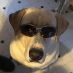 Dennis Dollar - @dollar.dennis - Instagram