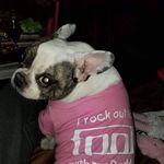 Dennis Donovan - @lightnin718 - Instagram
