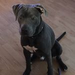 Dennis Doolin - @doolin.dennis - Instagram