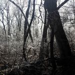 Jacob White - @dennisdoolittle1223 - Instagram