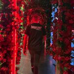 dennis dorrestijn - @_dennis_dorrestijn_ - Instagram