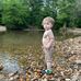 Dennis Dorrell - Facebook
