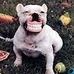 Dennis Dory - Facebook