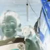 Dennis Dos Santos - @dennisdossantos1 - TikTok