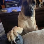 Dennis Doss - @dennis.doss.58 - Instagram