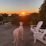 Dennis Dotson - @cuttyhunk47 - Instagram
