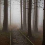 Dennis Doty - @dennisdoty19 - Instagram