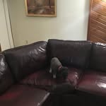 Dennis Dover - @dennisdover6 - Instagram