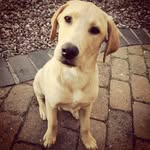 Dennis Dunn - @i_am_dennisdunn - Instagram