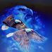 Dennis Easter - Facebook