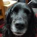 Dennis Easter - Facebook